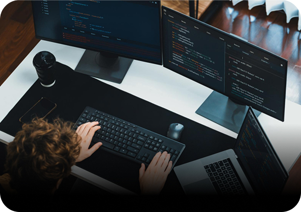 Web-Entwicklung